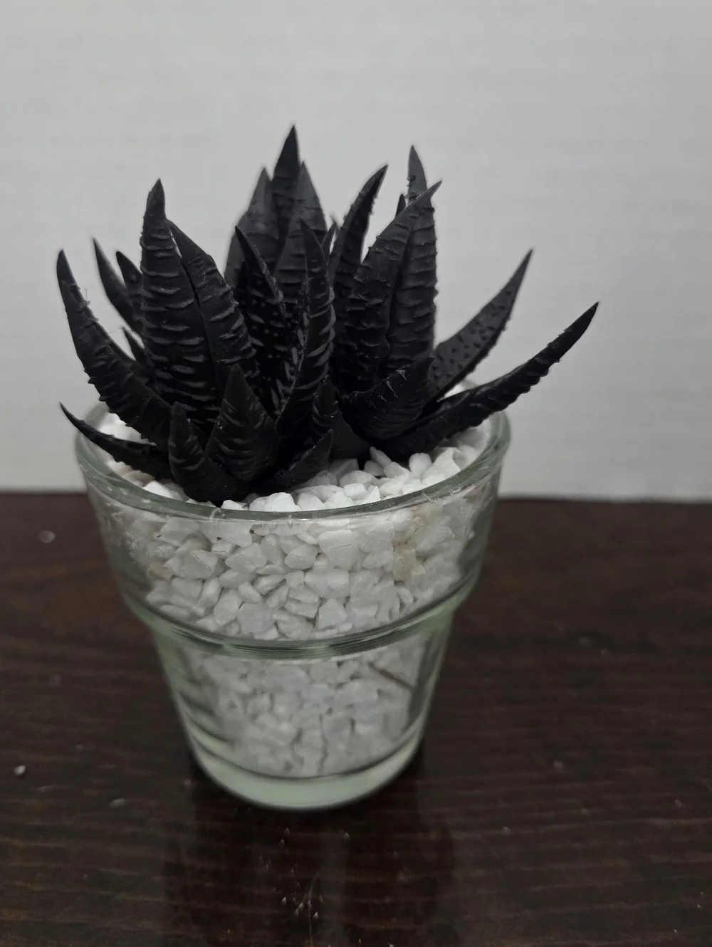 NWT Faux Succulent in Glass Planter With Faux White Rock - At Home